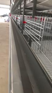 भारत में बिक्री के लिए चिकन फार्म का उपयोग चिकन फार्म के लिए पोल्ट्री परतों के लिए स्वचालित एच-प्रकार की बैटरी चिकन पिंजरे - Product Image 4