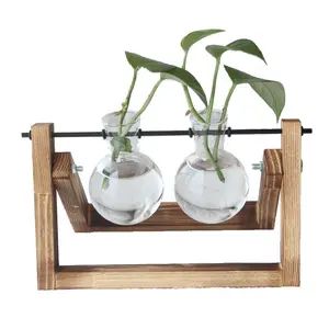 Terrario con soporte de madera, contenedores de vidrio, florero de vidrio, contenedor colgante para plantas y terrario