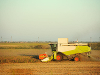 Moissonneuse-batteuse à riz GF28 de la marque chinoise Agriculture Machine