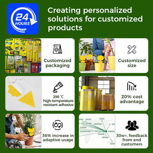 Tavola adesiva a mosca solida con trappola ad alta efficienza e profumo di frutta specificamente progettata per l'uso agricolo e il controllo dei parassiti - Product Image 2