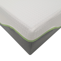Surmatelas Union Win de luxe 10 pouces à haute résilience, 3 couches de mousse à mémoire de forme en latex haute densité, idéal pour hôpitaux, villas et maisons modernes