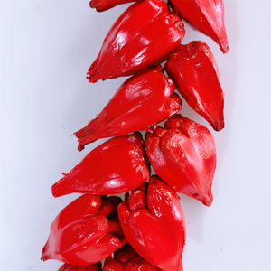 Kalung Tradisional Pria Samoa Vintage 100CM Grosir, Kalung Biji Alami dengan Simbolisme Roman Reigns untuk Hadiah - Product Image 4