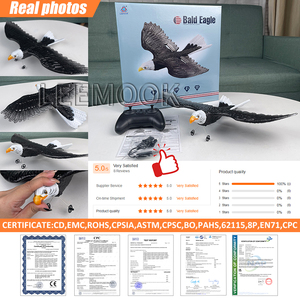 2.4GHz 2CH điều khiển từ xa <span class=keywords><strong>b</strong></span>ọt máy bay đồ chơi mô phỏng Sải Cánh Đại <span class=keywords><strong>B</strong></span>àng RC tàu lượn máy bay đồ chơi - Product Image 5