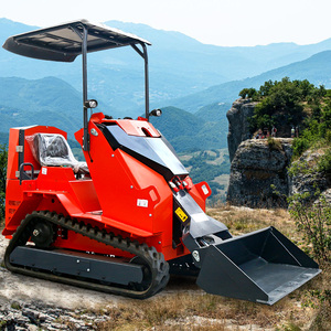 Minicargadora compacta barata con motor frontal, PLC de alta eficiencia y orugas compactas en venta - Product Image 1