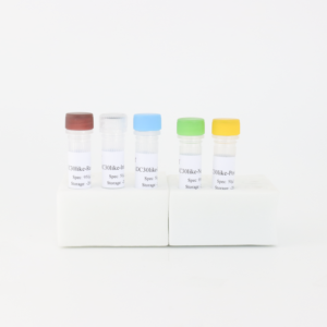 NADC30-like kit de détection RT-PCR fluorescent PRRSV pour les fermes porcines-Haute sensibilité et résultats rapides - Product Image 3