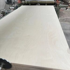 Pegamento fenólico, <span class=keywords><strong>tablero</strong></span> de madera contrachapada de abedul, Panel <span class=keywords><strong>estructural</strong></span> impermeable para uso en muebles y construcción, servicio de exportación OEM - Product Image 1