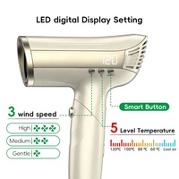 RUCHA Ensemble de Sèche-Cheveux Pliable Sèche-Cheveux Professionnel Fonction Infrarouge Ion Plasma