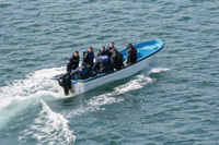 Bateau de pêche Grandsea 23FT en fibre de verre à coque simple durable à vendre