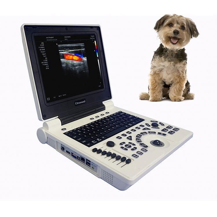 Medsinglong MSLVU32 Sector Ultrasonic Diagnostic Instrument