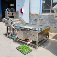 Volautomatische Plantaardige Verwerkingsapparatuur Met Bubbelreiniging