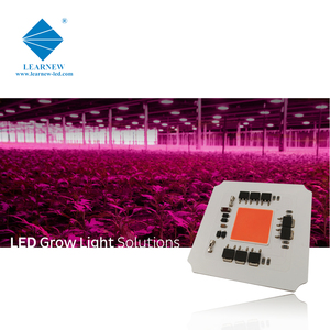 Venta caliente de fábrica AC DOB <span class=keywords><strong>LED</strong></span> <span class=keywords><strong>120V</strong></span> 277V 100W espectro completo 380-780nm PF9.0 y luz blanca COB LEDchips para luz de crecimiento - Product Image 6