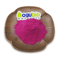 Dragon Fruit Poeder Beste Prijs Instant Drinken Dragon Fruit Poeder