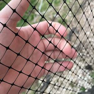 <span class=keywords><strong>Malla</strong></span> Antipalomas de PP para gallineros con <span class=keywords><strong>malla</strong></span> cuadrada y servicio de corte - Product Image 2