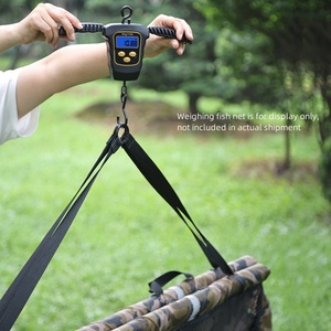 50KG multifonction Portable Mini balance de poisson électronique outil de pesage de pêche accessoire à usage domestique - Product Image 4