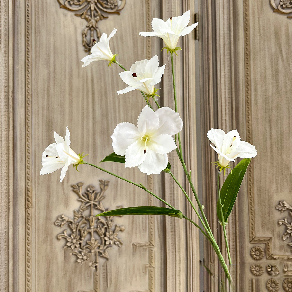 Blanc