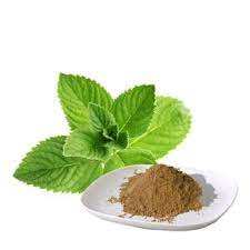 High Quality Peppermint Leaf Powder Pure Natural Peppermint Leaf <b>Extract</b> And Water Soluble Peppermint Powder Smooth Mixing - Product Image 3