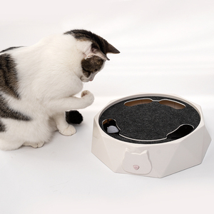 Jouets pour chats interactifs créatifs en gros, jouets électriques automatiques pour chatons, exercice de <span class=keywords><strong>chasse</strong></span>, chats d'intérieur, animaux de compagnie, griffoir - Product Image 5