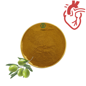 Suplemento orgánico de hidroxitirosol al mejor precio 10% 40% Extracto de hoja de olivo Hidroxitirosol en polvo - Product Image 1