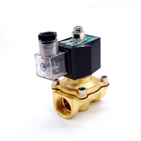 Vanne solénoïde en laiton normalement fermée 3/8'' 220V 12V 24V à action directe pour eau, gaz et huile