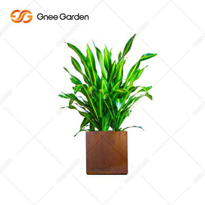 Gnee Garden Corten Steel Square Planter Outdoor Modern Rustic <b>Flower</b> Pot for Home 20-inch Durable Minimalist Design Customizable - Product Image 6