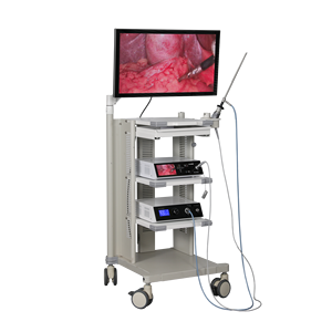 Sistema de Cámara de Endoscopio Endoscópica Médica 4K HD <span class=keywords><strong>TUYOU</strong></span> Fabricante 2025 con Torre de Monitor para Cirugía, Otorrinolaringología, Laparoscopia y Urología - Product Image 2