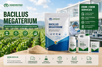 Fosfaatoplossende bacteriën Bacillus Megaterium PGPR Biofertilizer voor tarwe, maïs, rijst en groenten 100 miljard CFU/g