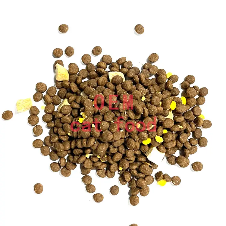 Makanan anjing kering OEM bebas biji Protein tinggi segar sehat dan bergizi untuk dewasa hewan peliharaan 10kg paket fitur kesehatan sendi