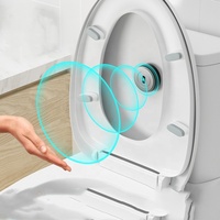 Système d'économie d'eau, réservoir de chasse d'eau automatique sans contact, capteur de chasse d'eau pour toilettes à la turque