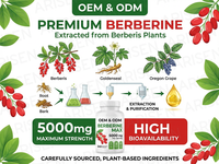 Capsules de berbérine OEM, extrait d'herbes de berbérine, capsules de chlorhydrate de berbérine, haute qualité, 500 mg, 1000 mg, compléments naturels