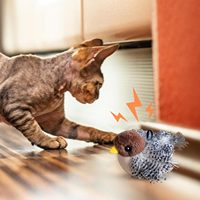Juguete Interactivo para Gatos con Forma de Pájaro, Recargable por USB, Simulación de Vuelo con Sonido y Movimiento, Juguete de Entrenamiento para Gatitos en Interiores