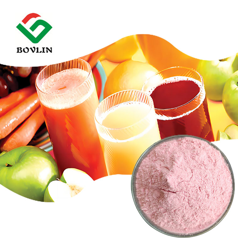 OEM Bulk Kiwi Dragon Monk Fruit Juice Powder Fruit Flavor Powder