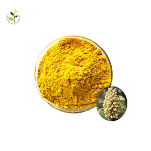 2024 nuovo raccolto di polline di pino organico in polvere per uso alimentare 99% di polline di pino rotto nella confezione di tamburo/bottiglia - Product Image 1