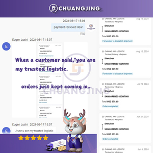 中国海运代理从中国到德国英国奥地利波兰捷克共和国荷兰法国 - Product Image 5