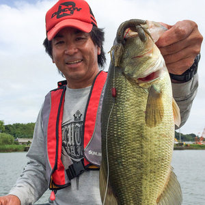 Señuelo de pesca Decoy Katsuichi Worm17R, cebo blando rojo fluorescente, anzuelo para lubina, señuelo para pesca en agua dulce 12102030 - Product Image 1