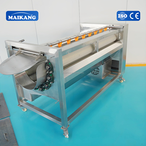 Set Completo di Linee per la Lavorazione di Frutta e Verdura, Adatte per la Produzione su Larga Scala in Stabilimenti Alimentari - Product Image 5