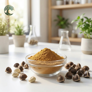Poudre <span class=keywords><strong>de</strong></span> <span class=keywords><strong>graines</strong></span> <span class=keywords><strong>de</strong></span> <span class=keywords><strong>Moringa</strong></span>, extrait <span class=keywords><strong>de</strong></span> <span class=keywords><strong>graines</strong></span> <span class=keywords><strong>de</strong></span> <span class=keywords><strong>Moringa</strong></span>, poudre d'extrait <span class=keywords><strong>de</strong></span> <span class=keywords><strong>graines</strong></span> <span class=keywords><strong>de</strong></span> <span class=keywords><strong>Moringa</strong></span> Oleifera - Product Image 3