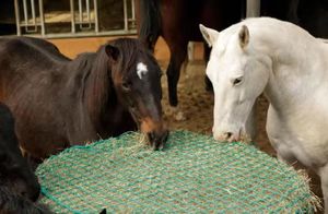 프리미엄 메쉬 3 cm 말 먹이 그물 대용량 날기 느린 먹이 말 먹이 그물을위한 니트 건초 그물 - Product Image 4