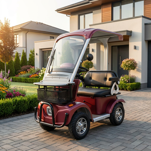 Mini-buggy électrique léger S1-3 pour adultes, <span class=keywords><strong>2</strong></span> places, 60V 20/32AH, avec porte-bagages et frein électrique en option, idéal pour le stationnement - Product Image 1