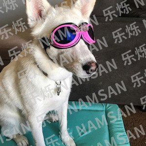 Lunettes de soleil pliables en plastique pour chiens, couleur unie, toutes saisons, accessoire de protection oculaire original pour chiens - Product Image 2