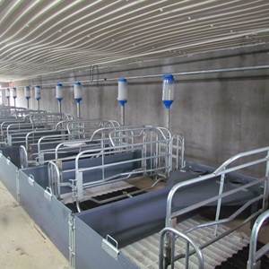 Équipement d'élevage porcin durable, cage de mise bas en acier galvanisé à chaud avec panneau en PVC, cage de maternité pour truies - Product Image 6