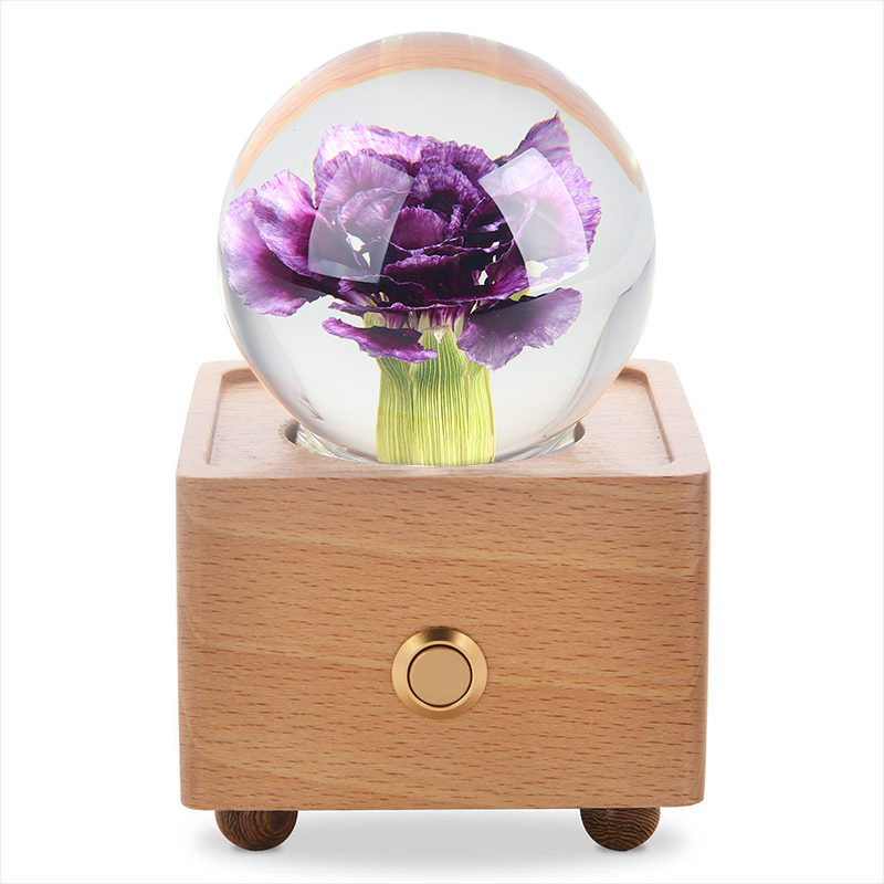 Purple Carnation