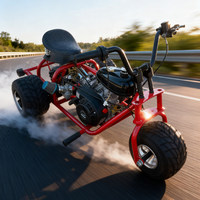 Triciclo de derrape a gas para adultos, kart todoterreno de 3 ruedas, vehículo mini de carreras para todo tipo de terrenos y la