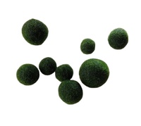 Boule de plafond en mousse de marimo verte artificielle QSHLHP-948 Offre Spéciale pour décoration intérieure
