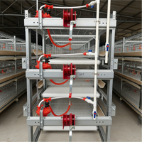 Cage à poulets automatique galvanisée de type H pour 60-80 poulets de chair ou pondeuses – Équipement d'élevage avicole