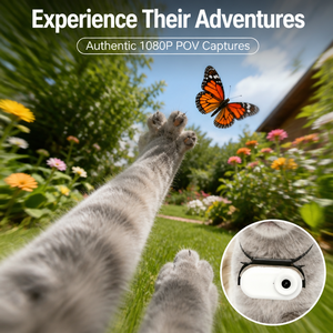 Caméra pour animaux de compagnie, best-seller, 1080P, montée sur collier pour chiens et chats, enregistrement de vlog, caméra de collier pour animaux - Product Image 4