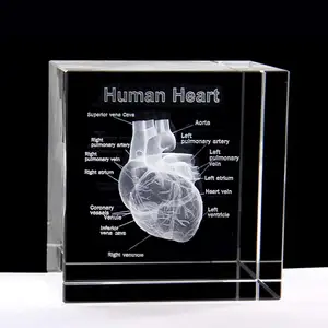 Ehre des Kristallglas kristall würfels 3D Menschliches Herz mit Etiketten Anatomisches Modell Statue Brief besch werer Kristallglas würfel