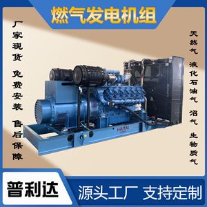 Lpg Lng Gas <b>Generator</b> 300kW 400V 50Hz Water Cooled Industrial Use - Product Image 4