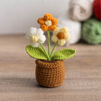 Pot de fleurs au crochet fait main, écologique, pour plantes succulentes et cactus, idéal pour la décoration de bureau, maison, Halloween et remise de diplôme