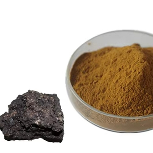 High Quality Shilajit <strong>Extract</strong> 20% Fulic Acid Powder - Product Image 1