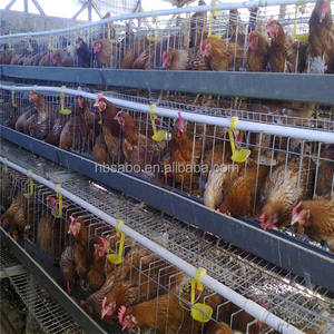 Vendita calda automatica gabbie per pollame di pollo a caldo zincato a basso costo a strati di uova gabbia di pollame fattoria Design gratuito - Product Image 5